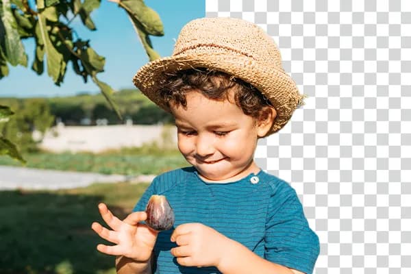remove bg